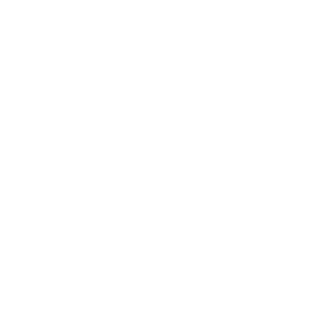 light logo